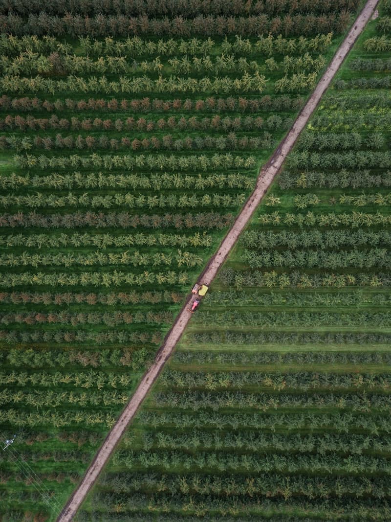 Farming at Sebastian's Ranch